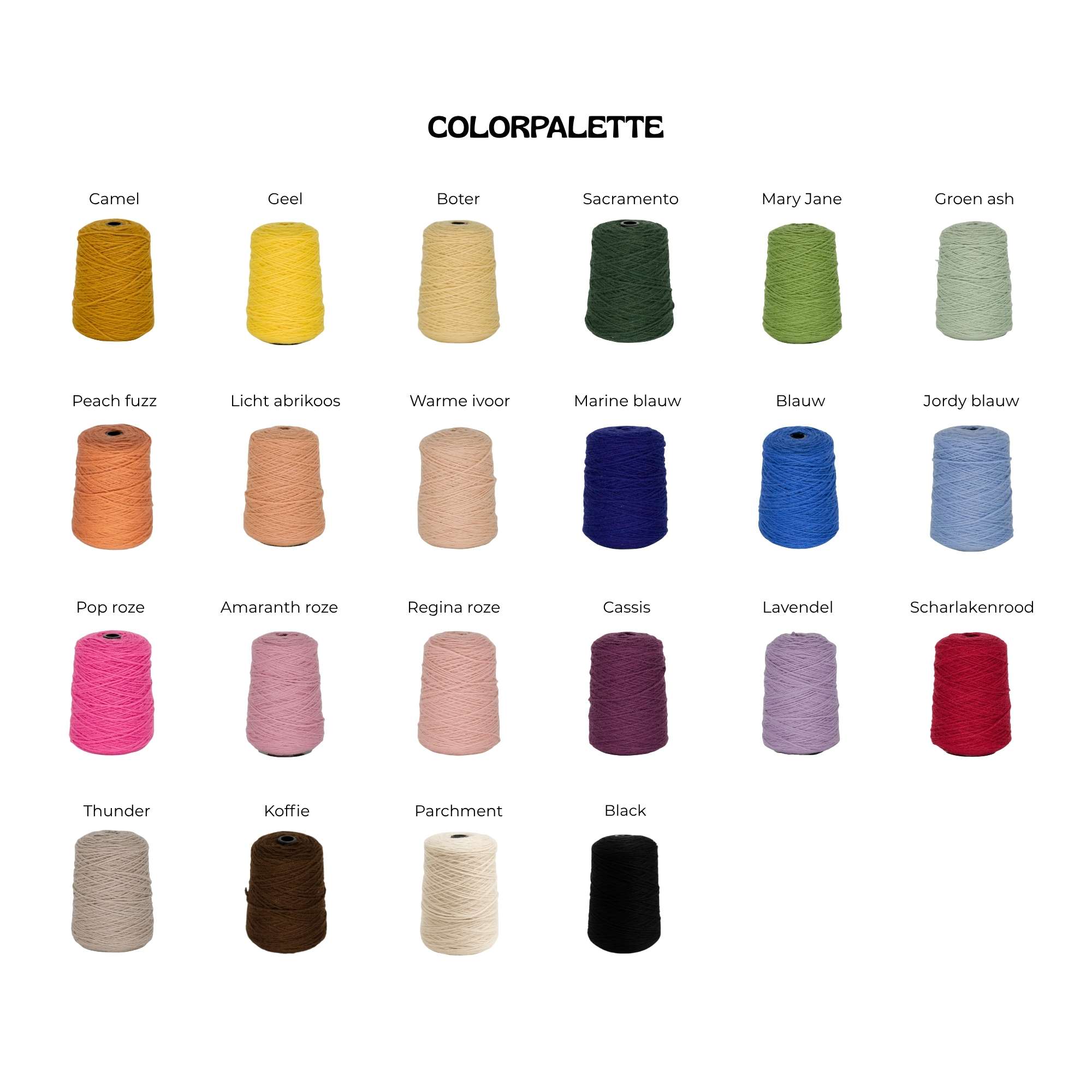 kleuren opties kleurenpalet